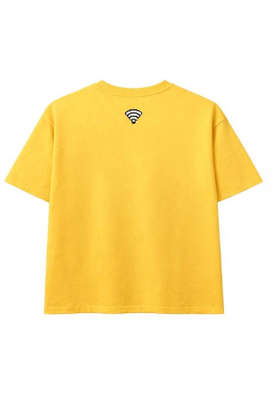OLD SYSTEM